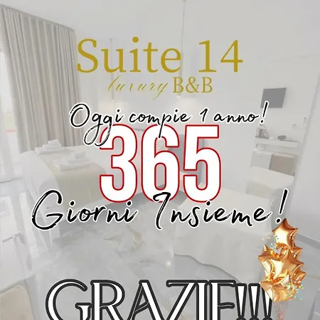 14 فندق مبيت وإفطار 4*